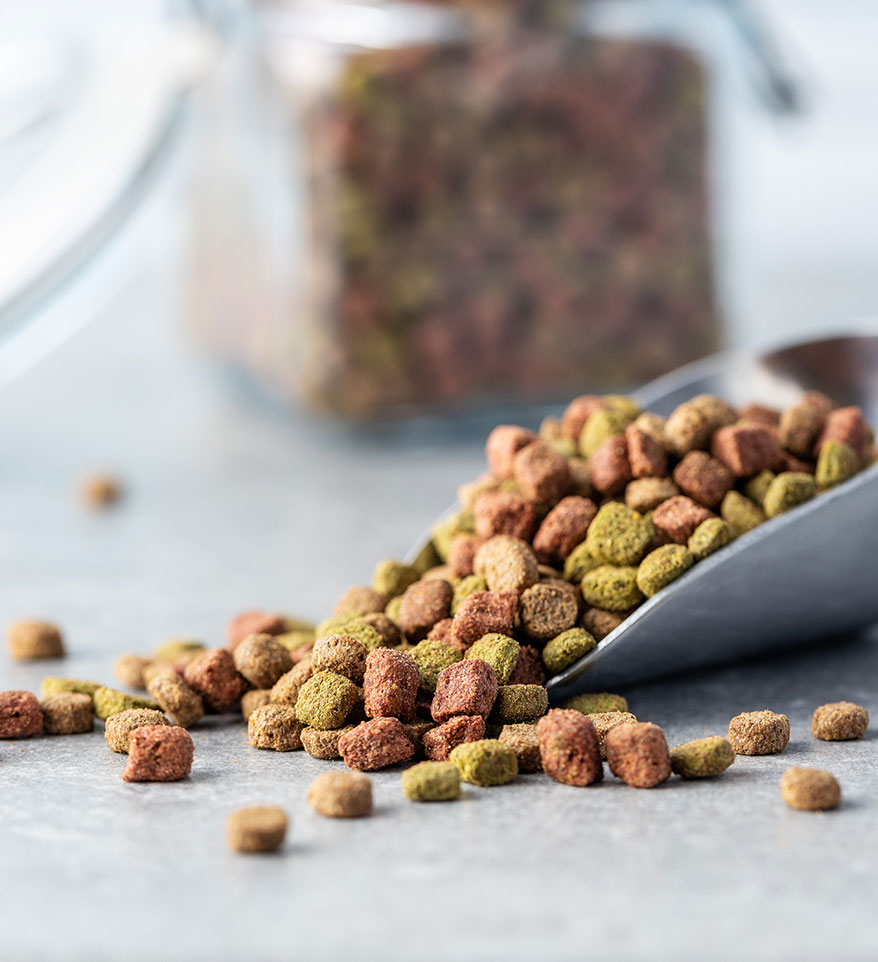 nutrizione veterinaria